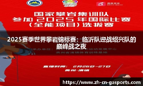 2025赛季世界攀岩锦标赛：临沂队迎战绍兴队的巅峰战之夜