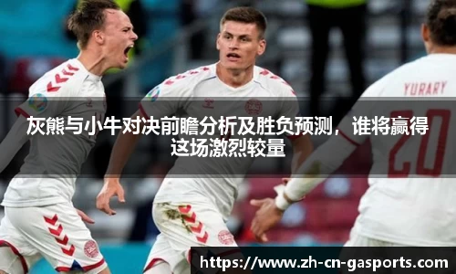 灰熊与小牛对决前瞻分析及胜负预测，谁将赢得这场激烈较量